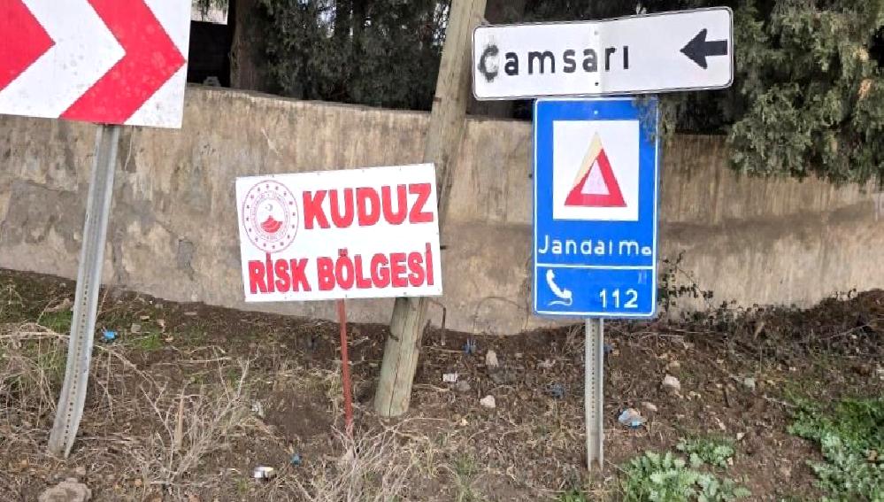 Kırıkhan’da Kuduz Virüsü Tespit Edildi Kırıkhan'da kuduz virüsü tespit edilmesi, halk sağlığı açısından önemli bir