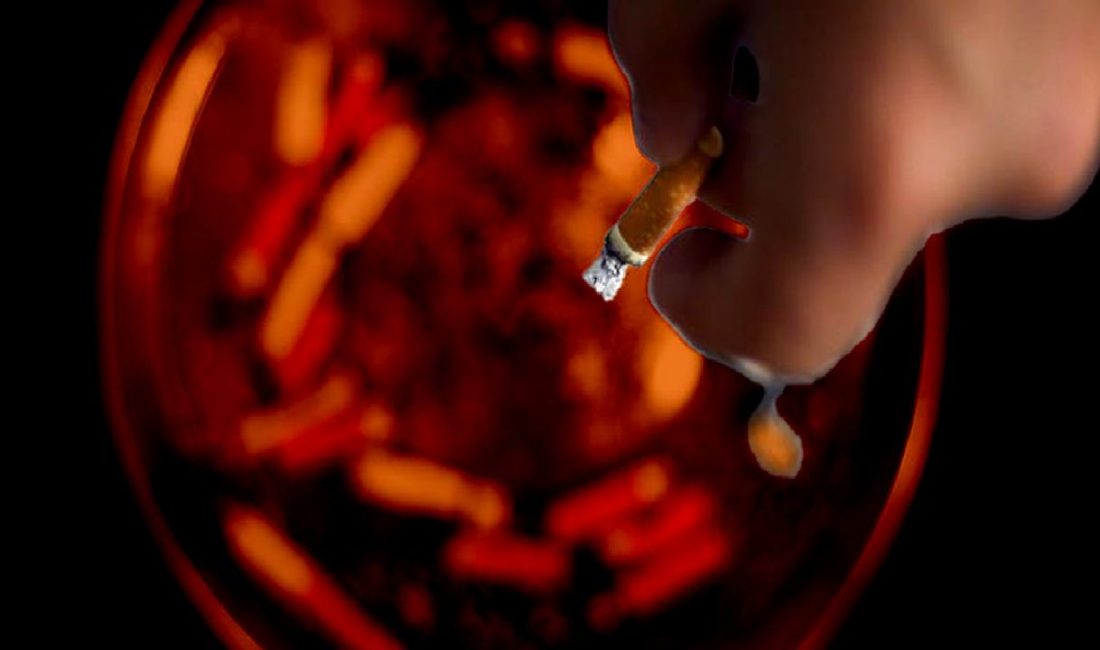 Sigaraya Zam Geldi mi? Sigaraya zam geldi mi? Bu yazıda, sigara fiyatlarındaki son gelişmeleri,