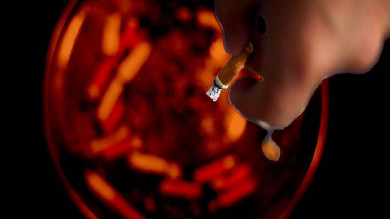 Sigaraya zam geldi mi? Bu yazıda, sigara fiyatlarındaki son gelişmeleri,