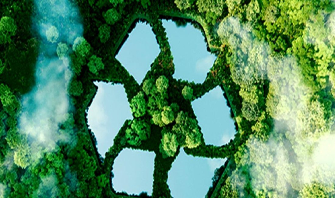 Türkiye’de Yeşil Dönüşüm ve Sürdürülebilir Yapılaşma Türkiye'de yeşil dönüşüm ve sürdürülebilir yapılaşma süreçlerini keşfedin. Çevre dostu