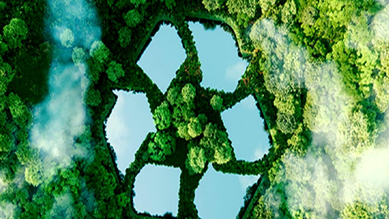 Türkiye'de yeşil dönüşüm ve sürdürülebilir yapılaşma süreçlerini keşfedin. Çevre dostu