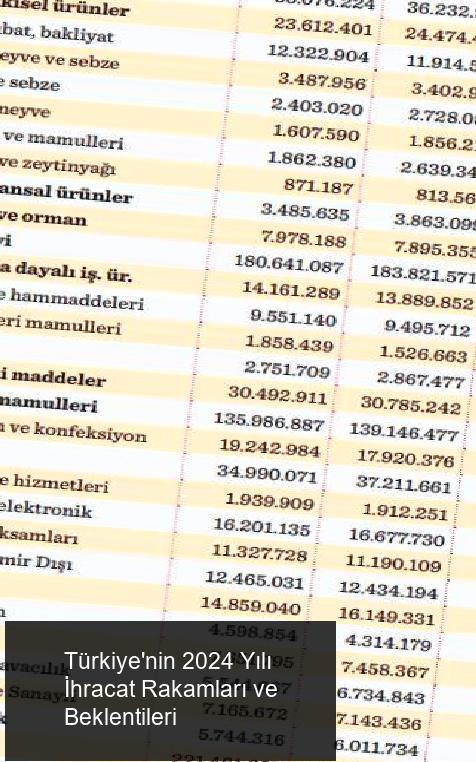 İhracat Rekorları ve Destekler
