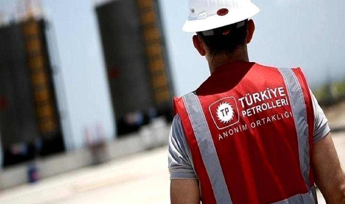 TPAO, Petrol Arama Ruhsatını Uzatıyor TPAO, petrol arama ruhsatını uzatarak enerji sektöründeki faaliyetlerini güçlendiriyor. Detaylar