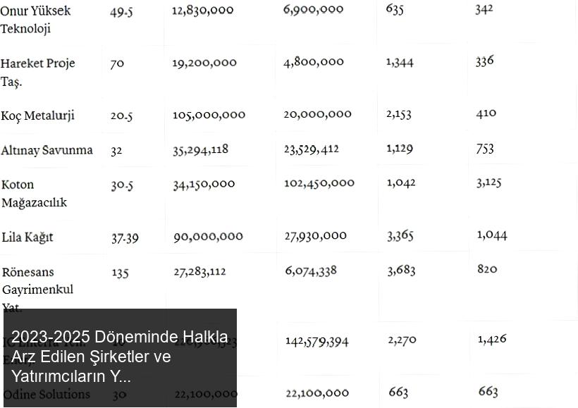 Halka arzda finansman maliyeti ve motivasyonlar