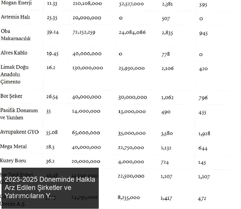 2023-2025 Döneminde Halkla Arz Edilen Şirketler ve Yatırımcıların Yatırımları