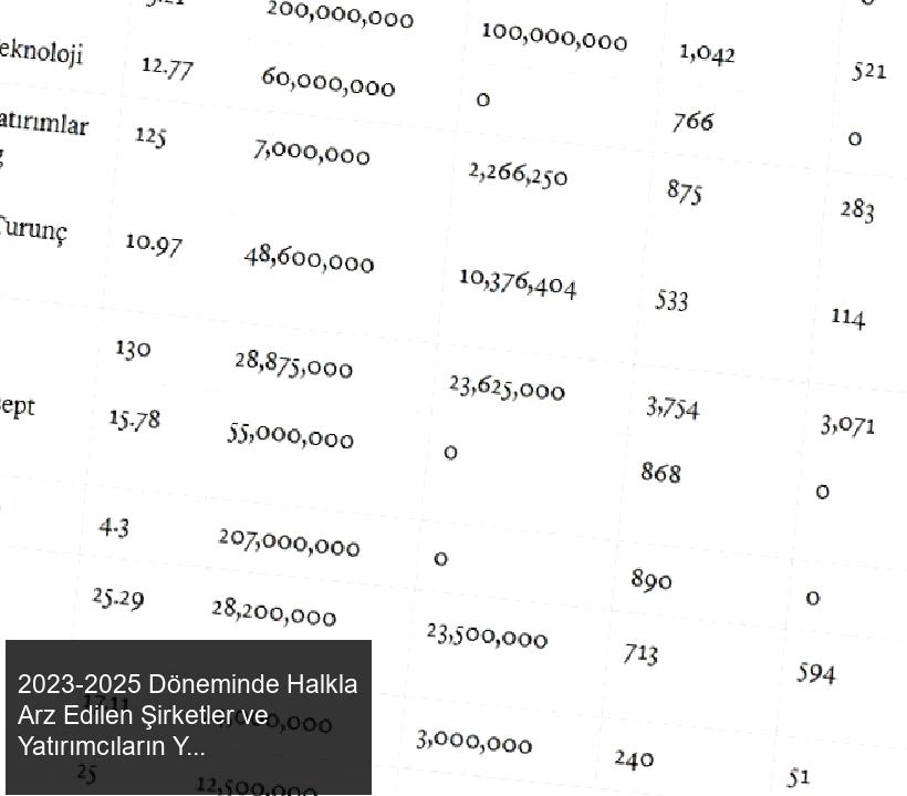 2023-2025 Döneminde Halkla Arz Edilen Şirketler ve Yatırımcıların Yatırımları