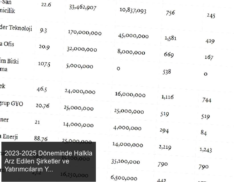 2023-2025 Döneminde Halkla Arz Edilen Şirketler ve Yatırımcıların Yatırımları