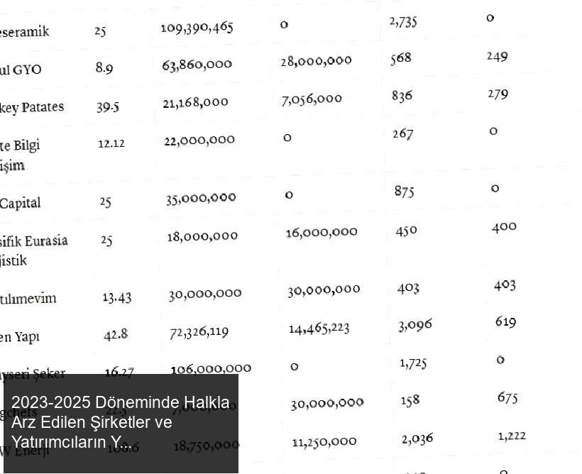 2023-2025 Döneminde Halkla Arz Edilen Şirketler ve Yatırımcıların Yatırımları