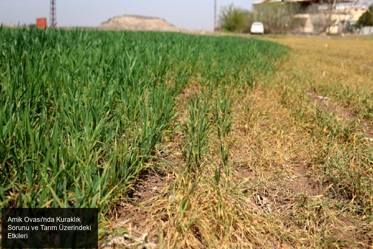 Amik Ovası'ndaki Kuraklık Sorunu