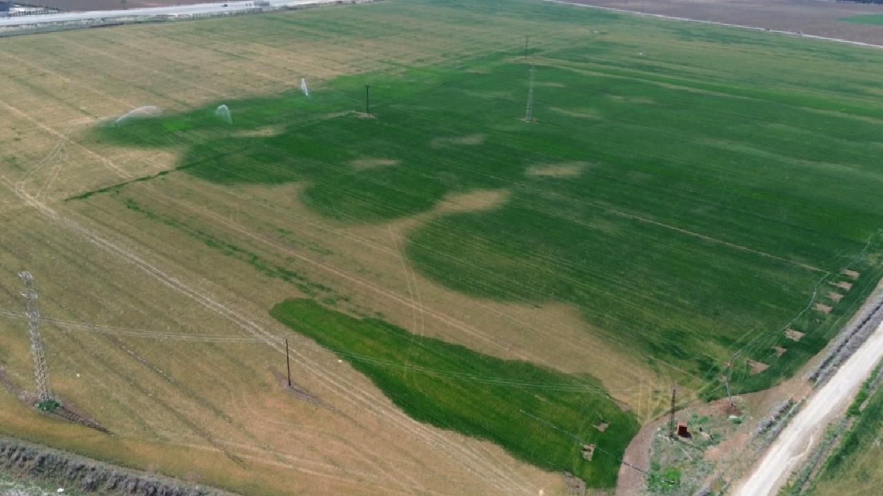 Amik Ovası'ndaki kuraklık sorunu, tarım ürünlerini nasıl etkiliyor? Bu makalede,