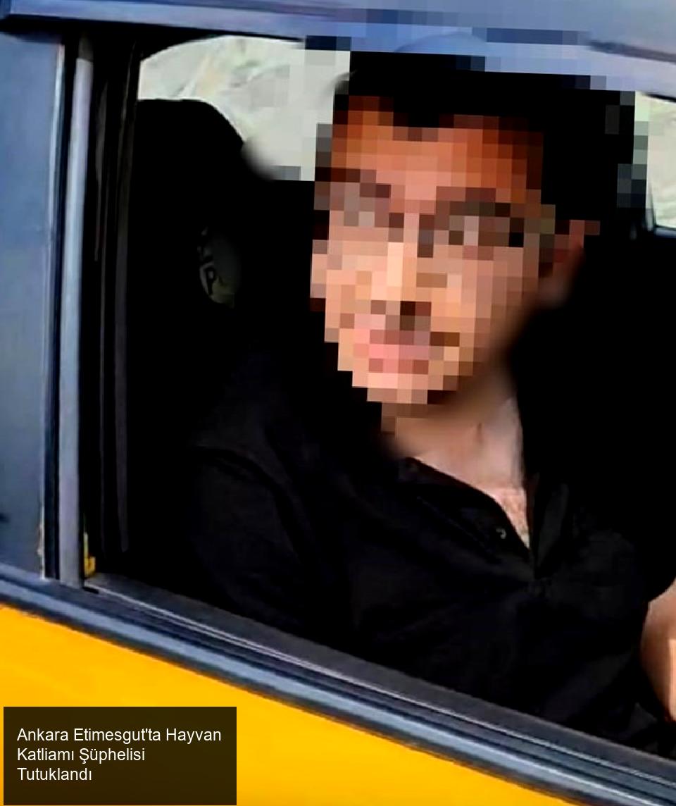 Etimesgut'ta Kanlı Olayın Detayları