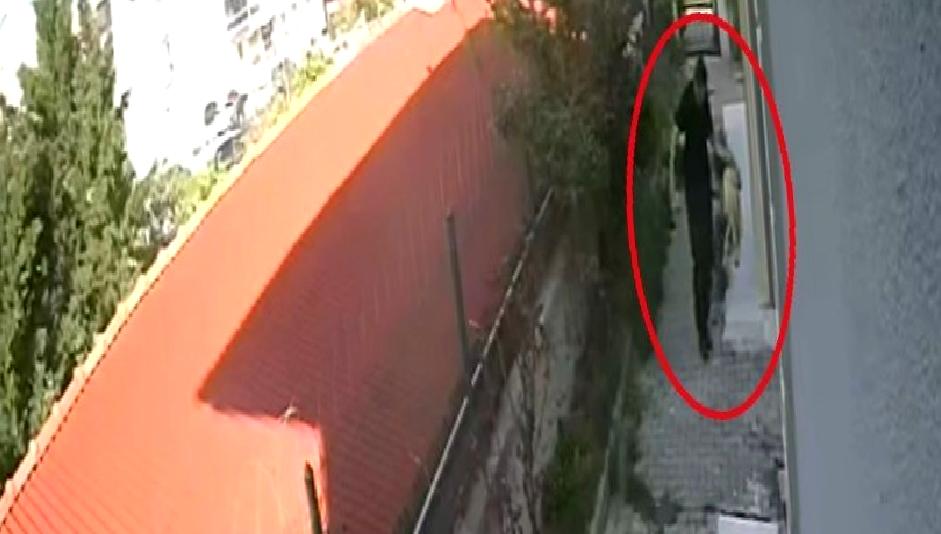 Ankara Etimesgut'ta hayvan katliamı şüphelisi tutuklandı. Olayla ilgili gelişmeler ve