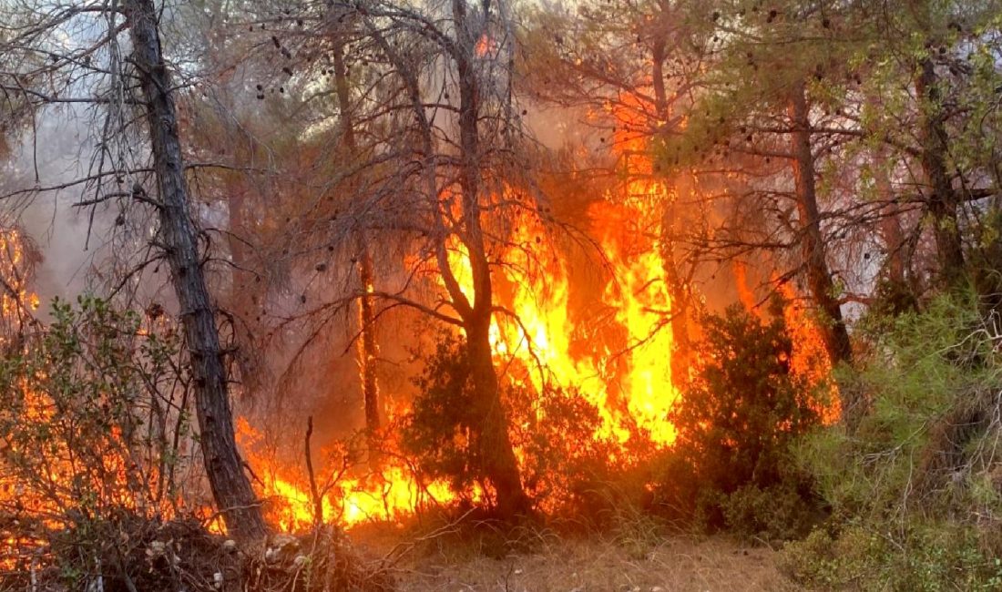 Antalya’da Orman Yangınlarıyla Mücadele Toplantısı Gerçekleştirildi Antalya'da orman yangınlarıyla mücadele kapsamında düzenlenen toplantıda alınan önlemler ve