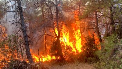 Antalya'da orman yangınlarıyla mücadele kapsamında düzenlenen toplantıda alınan önlemler ve