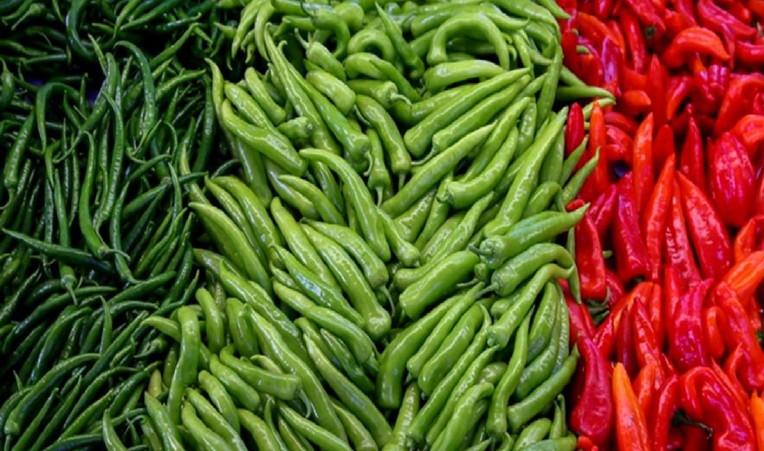 Batı Akdeniz bölgesinde sebze ve meyve ihracatında biber lider konumda,