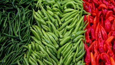 Batı Akdeniz bölgesinde sebze ve meyve ihracatında biber lider konumda,