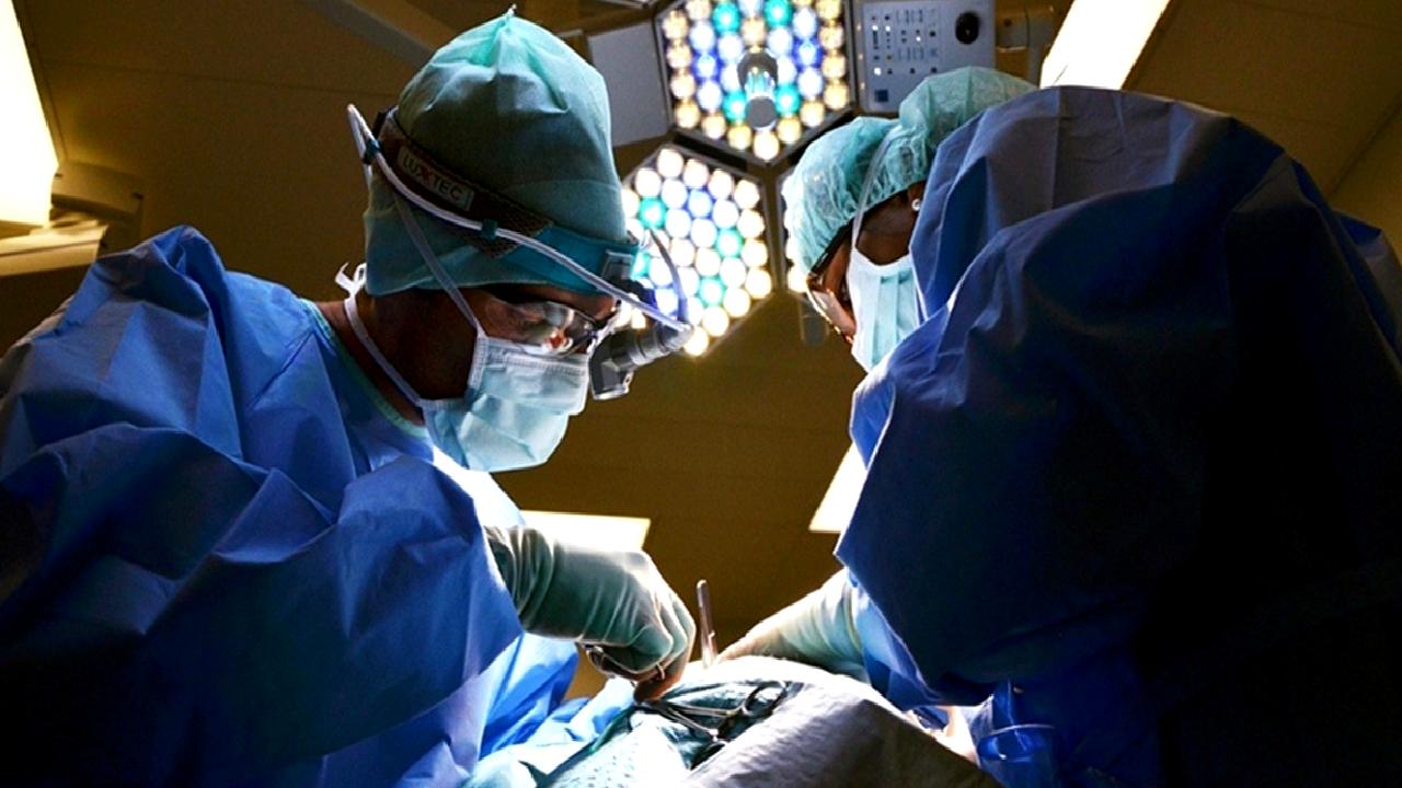 Berlin’de Türk sağlık hizmetleri fuarında en son yenilikleri keşfedin, sektördeki