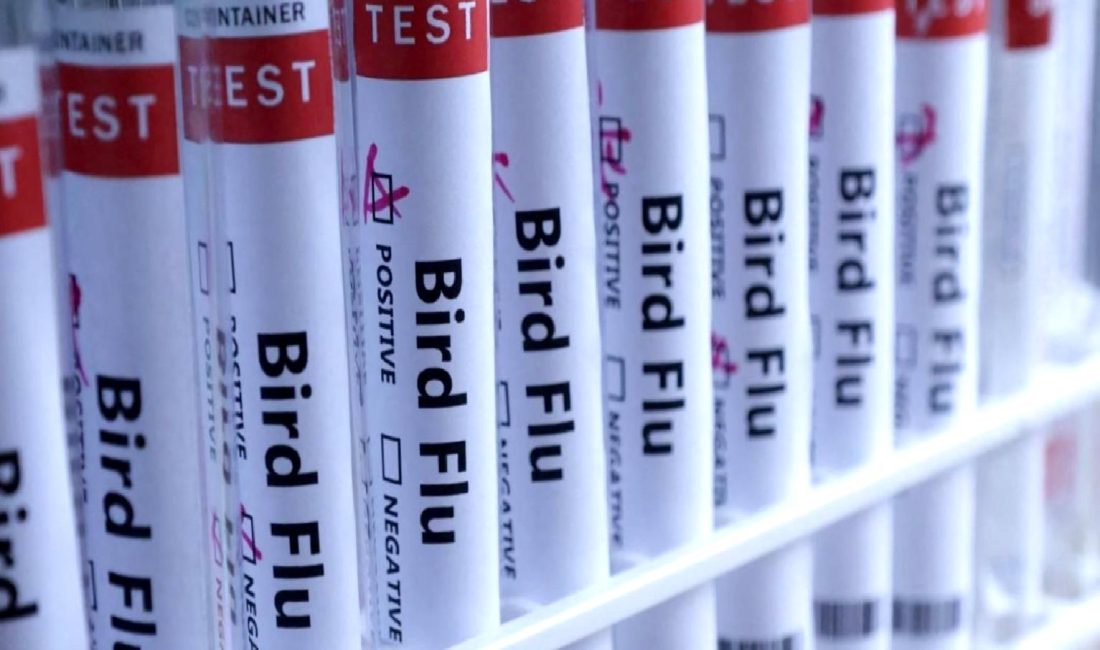 Coahuila Eyaletinde Kuş Gribi Vakası ve Influenza Hakkında Bilgiler Coahuila Eyaletinde kuş gribi vakası ve influenza hakkında güncel bilgiler