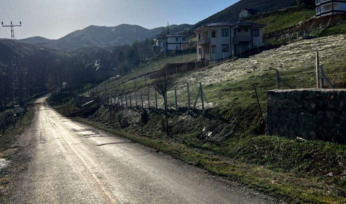 Çoban köpeklerinin saldırısının sonucunda bir kişinin hayatını kaybetmesi, hayvanların kontrolsüzlüğünün