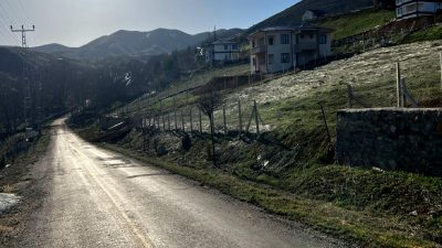 Çoban köpeklerinin saldırısının sonucunda bir kişinin hayatını kaybetmesi, hayvanların kontrolsüzlüğünün