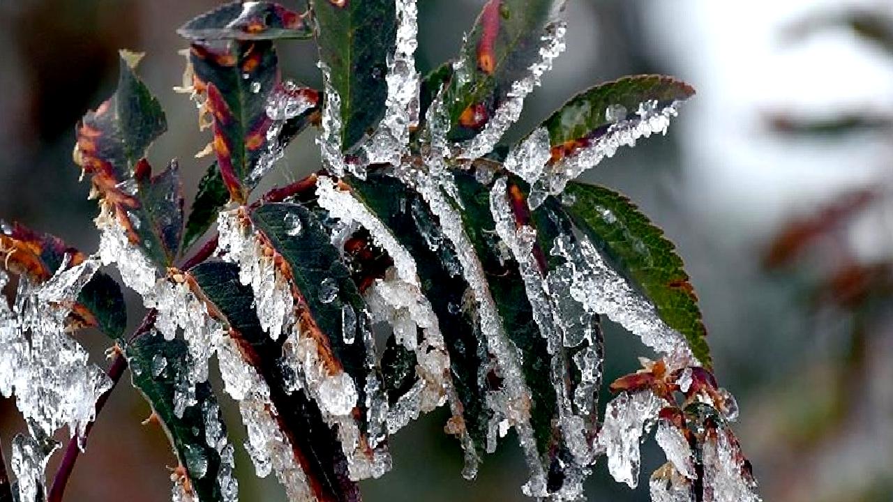 Cumhurbaşkanı Erdoğan, çiftçilerin yaşadığı zararları değerlendirerek çözüm önerilerini paylaştı. Tarım