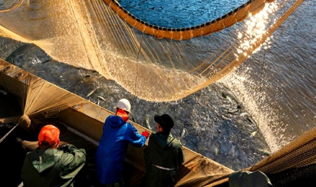 Denizlerde av yasağı ve sürdürülebilir su ürünleri avcılığı üzerine bilgilendirici