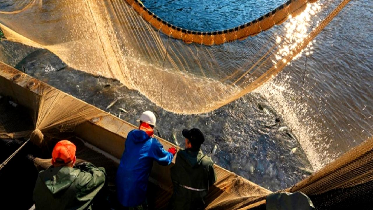 Denizlerde av yasağı ve sürdürülebilir su ürünleri avcılığı üzerine bilgilendirici