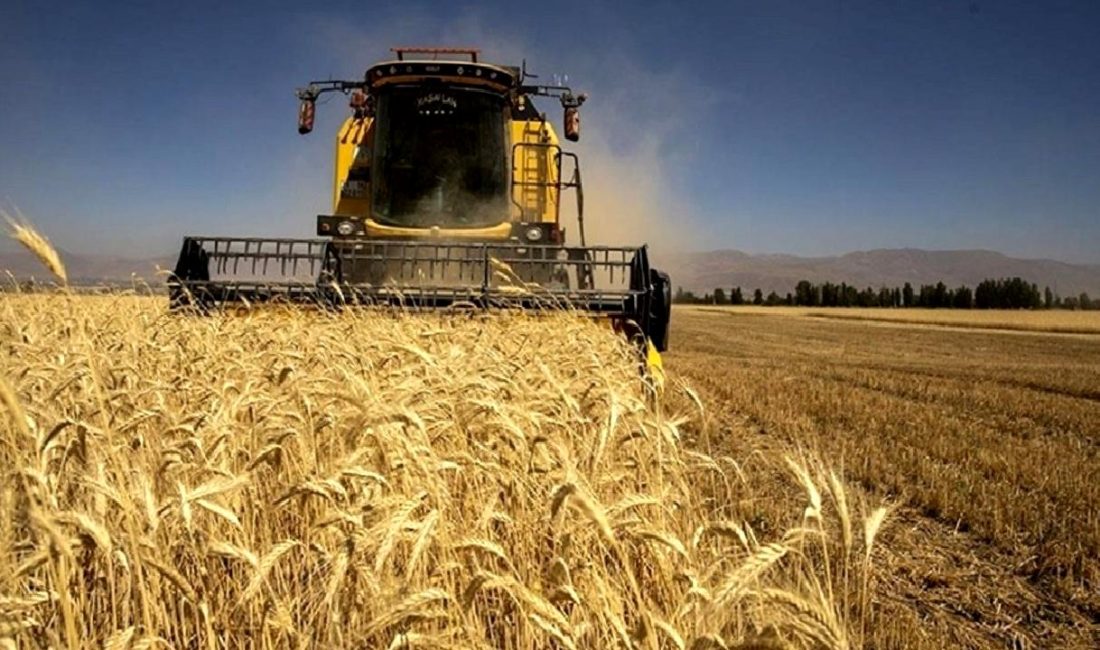 Ereğli Bereket Tarım’ın İflas Kararı ve Konkordato Süreci Sonuçları Ereğli Bereket Tarım'ın iflas ve konkordato süreci detayları, sonuçları ve