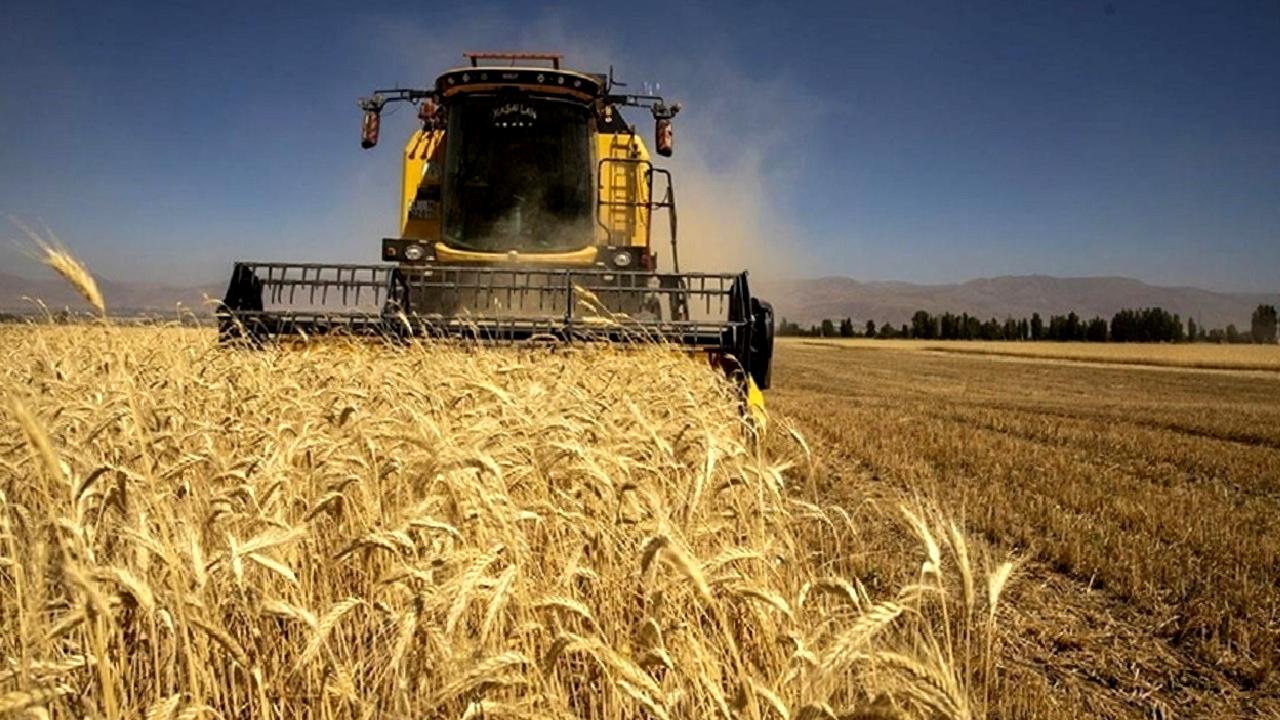 Ereğli Bereket Tarım'ın iflas ve konkordato süreci detayları, sonuçları ve