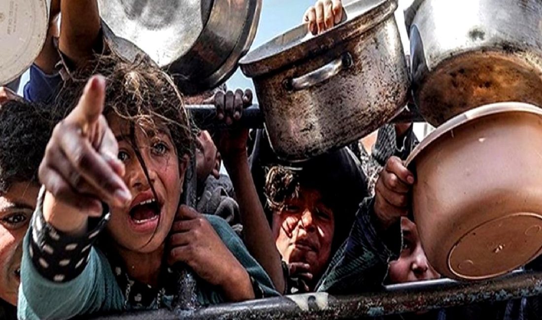 Gazze’deki Sağlık Krizi ve İnsani Durum Gazze'deki sağlık krizi ve insani durumu ele alan bu içerik,