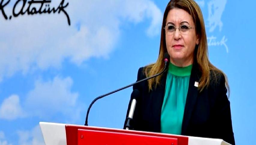 Gülizar Biçer Karaca'nın hayatı, siyasi kariyeri ve Türkiye'deki etkileri hakkında