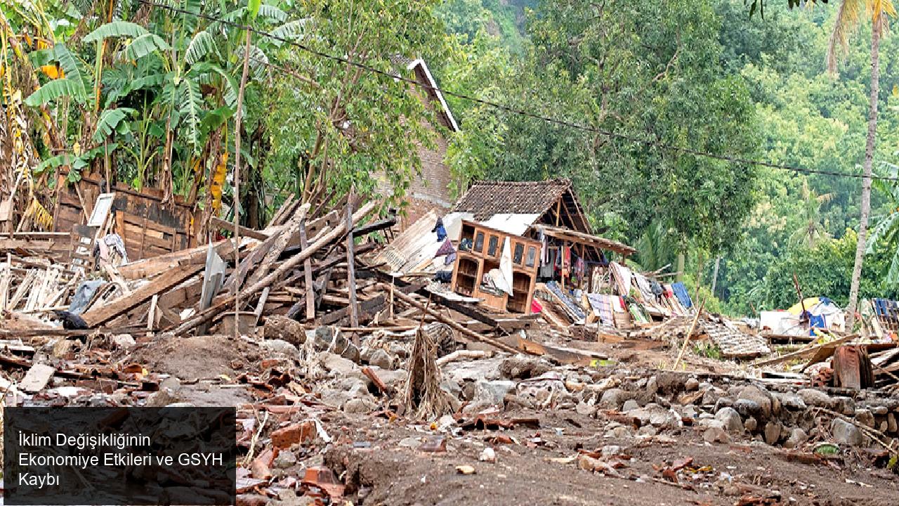 İklim Değişikliğinin Ekonomiye Etkisi