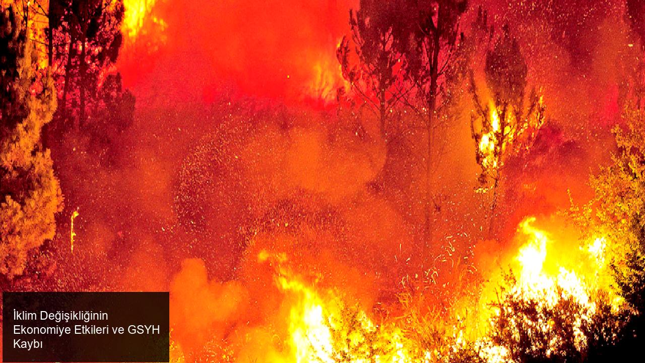 İklim Değişikliğinin Ekonomik Etkileri
