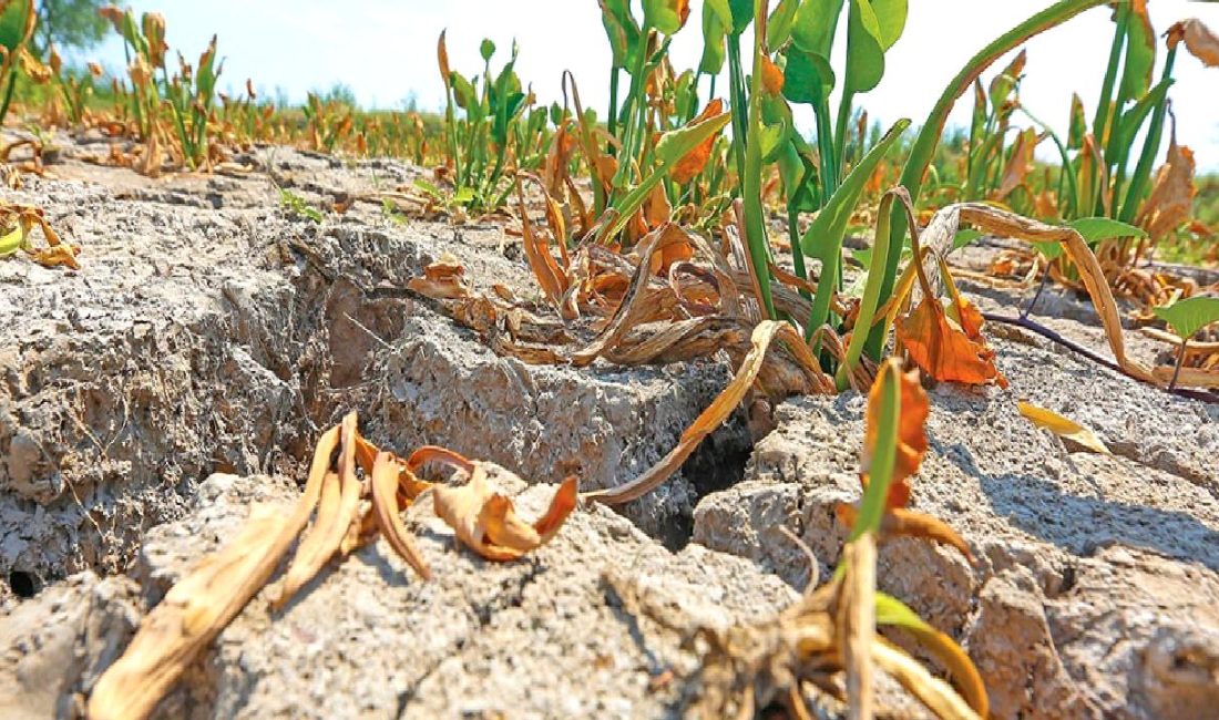 İklim Değişikliğinin Ekonomiye Etkileri ve GSYH Kaybı İklim değişikliğinin ekonomik etkileri ve GSYH kaybı üzerine derinlemesine bir