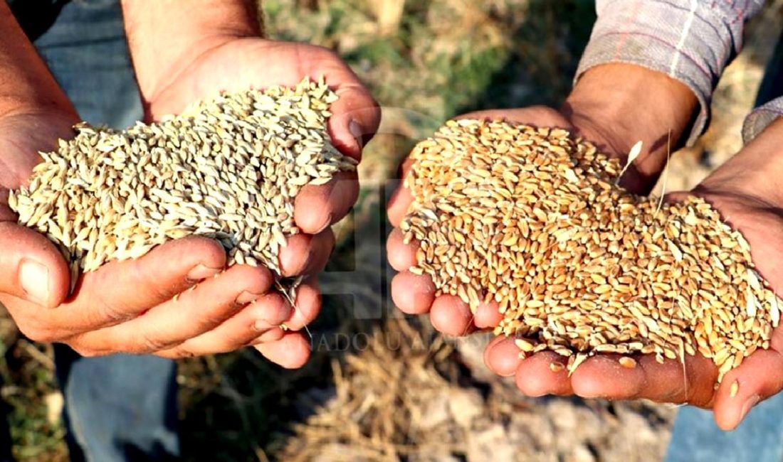 Irak'tan Suriye'ye geniş yardım ve iş birliği adımlarıyla bölgesel istikrar