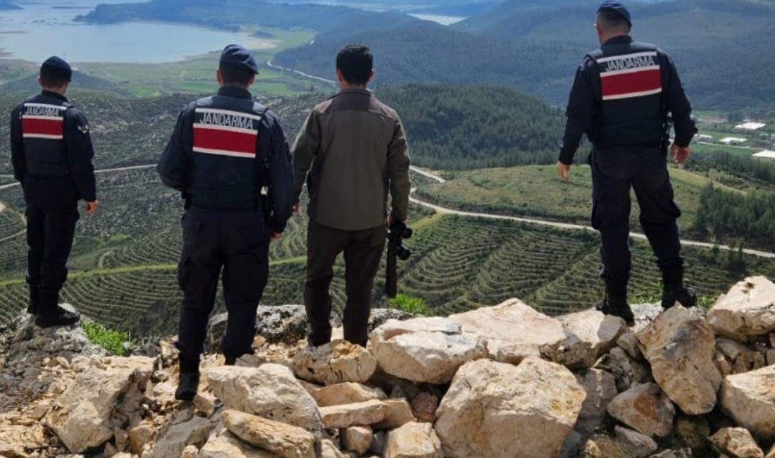 Isparta'da yaban keçisi avına karşı çıkan sesler yükseliyor! Doğanın korunması