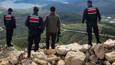 Isparta'da yaban keçisi avına karşı çıkan sesler yükseliyor! Doğanın korunması