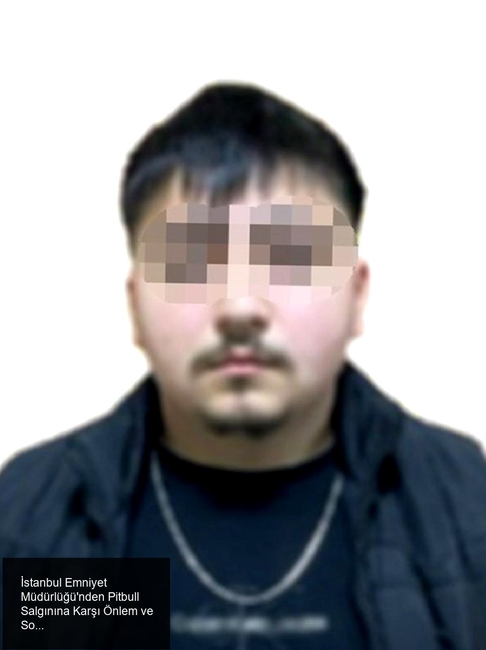 İstanbul Emniyet Müdürlüğü'nden Pitbull Salgınına Karşı Önlem ve Soruşturma