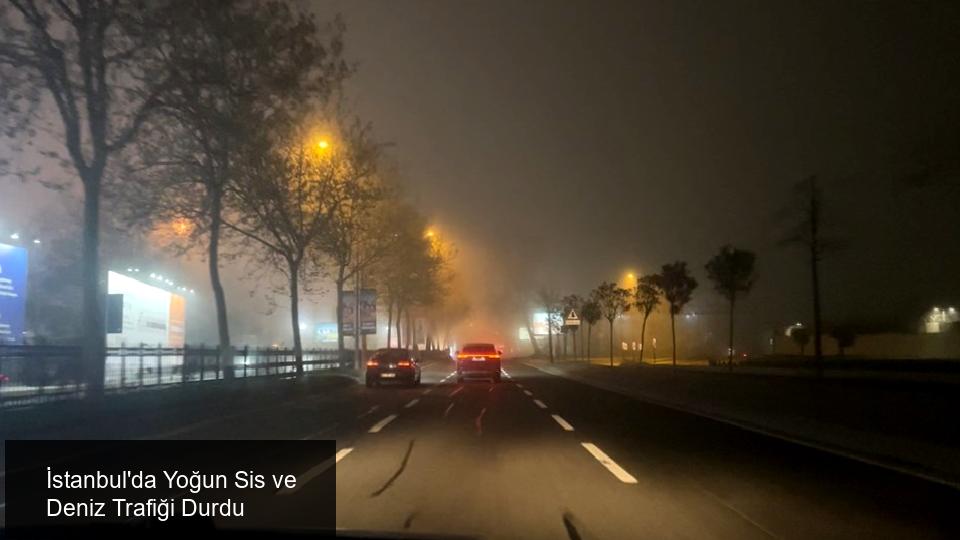 İstanbul'da Yoğun Sis Etkili Oluyor