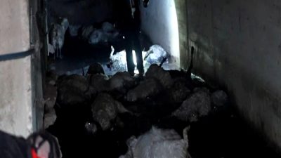 Kırıkkale'de meydana gelen hayvan zehirlenmesi olayında 23 hayvan telef oldu.