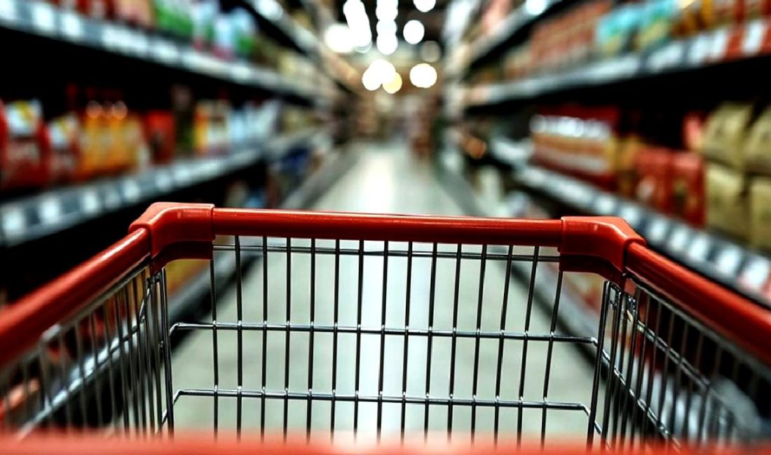 Koç Üniversitesi'nin Enflasyon ve Tasarruf Eğilimleri Anketi sonuçlarını keşfedin. Güncel