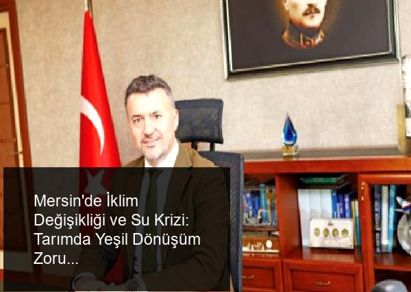 Müjde DEMİR-MERSİN