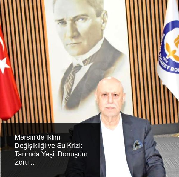 Müjde DEMİR-MERSİN