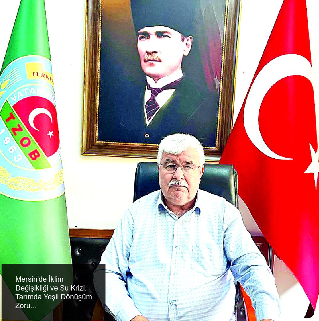 Müjde DEMİR-MERSİN