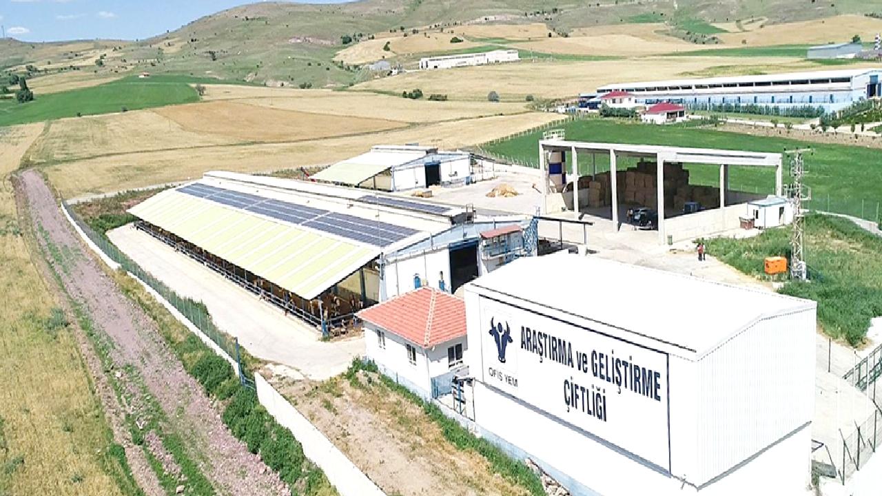 Ofis Yem’in gelecek vizyonu ve yatırım planlarını keşfedin. Yenilikçi projeler