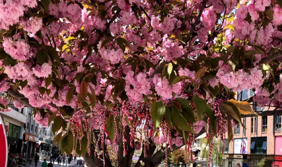 Porsuk Bulvarı'nda baharın müjdecisi Martenitsa coşkusu, renkli etkinlikler ve geleneksel