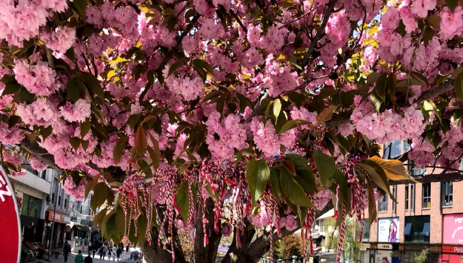 Porsuk Bulvarı'nda baharın müjdecisi Martenitsa coşkusu, renkli etkinlikler ve geleneksel