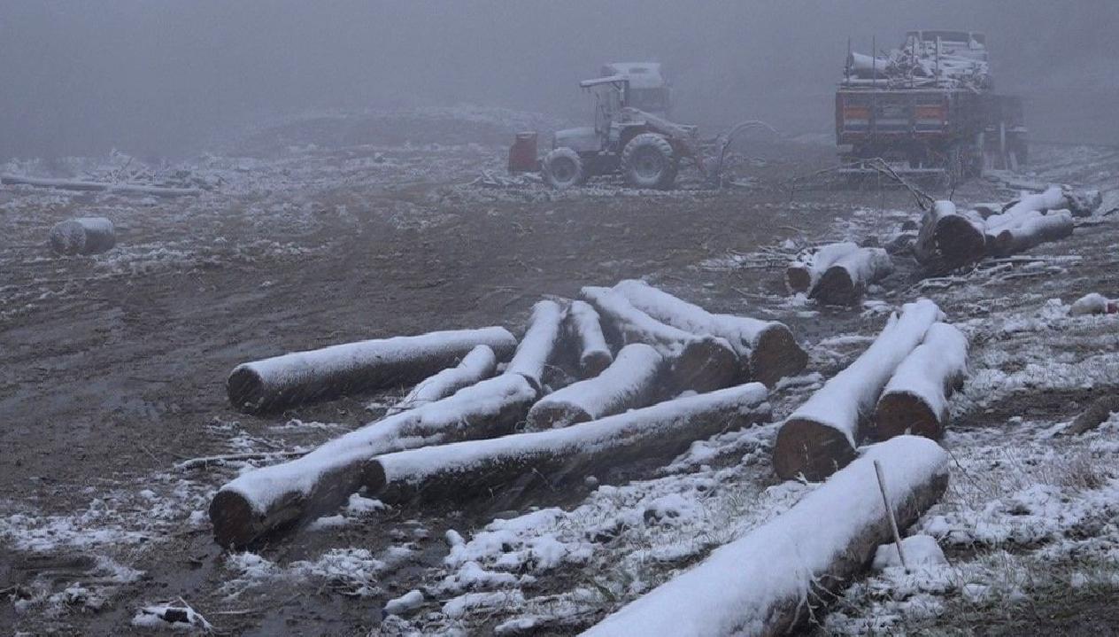 Sağanak sonrası kar yağışı başladı! Hava durumu, kar kalınlığı ve