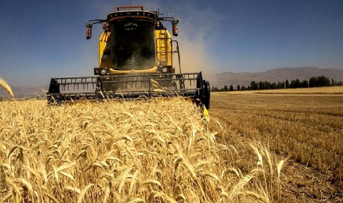 Tarım destekleri ve çiftçilere müjde! Yeni fırsatları kaçırmayın, çiftçilikte başarı