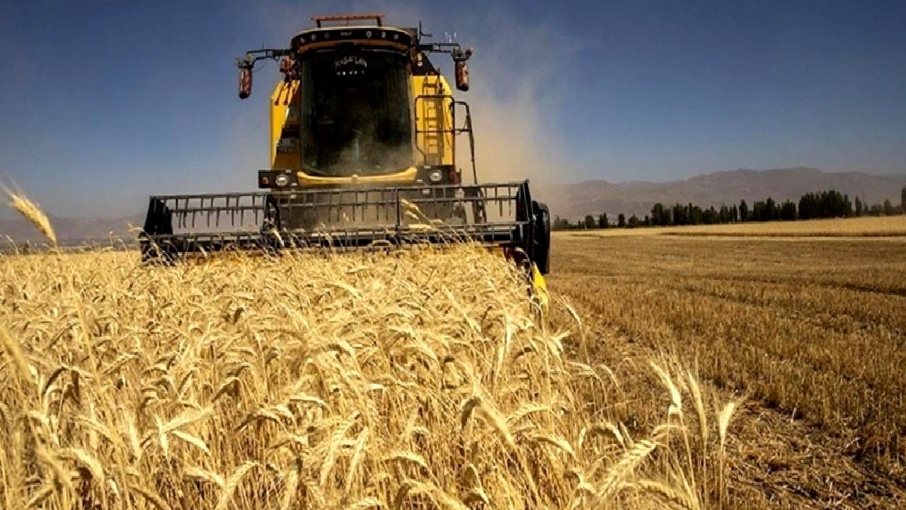 Tarım destekleri ve çiftçilere müjde! Yeni fırsatları kaçırmayın, çiftçilikte başarı